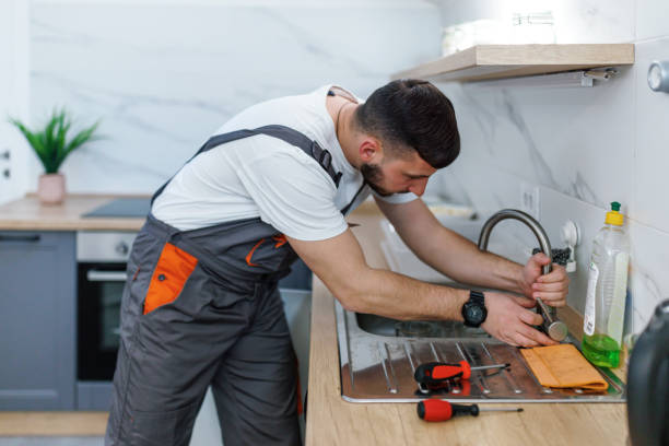Best Plumbing Services Near Me  in Breese, IL